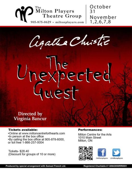 UnexpectedGuest_Poster1